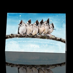 Novoročenky 303 - teamwork ptáci